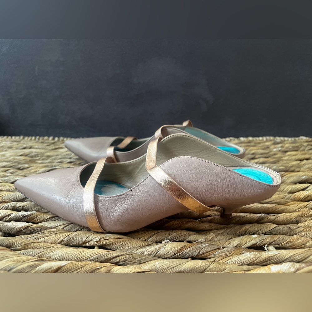 Pointed kitten heel mules (6.5-7)